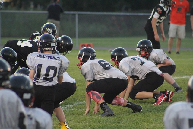 凭借出色的 凭借出色的