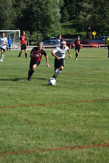 冠的关键阶 冠的关键阶