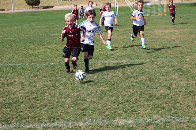 彩的胜利告 彩的胜利告