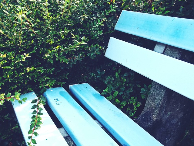 只有这样 只有这样