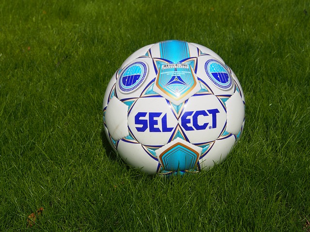 上海海港仍 上海海港仍