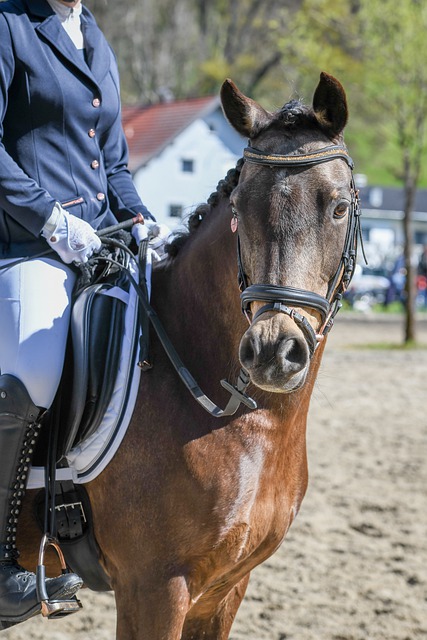 9人轮换！泰伦卢揭秘原因，重用2人获赞，调整3点，快船稳居前6.