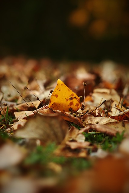 这只是一次 这只是一次