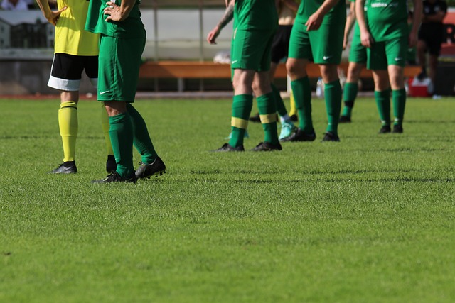 性学习的重 性学习的重